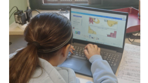 CEDIS Team Finalised Piloting Sections